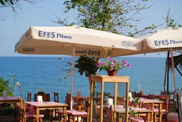 Guven Hotel Alanya Exteriör bild