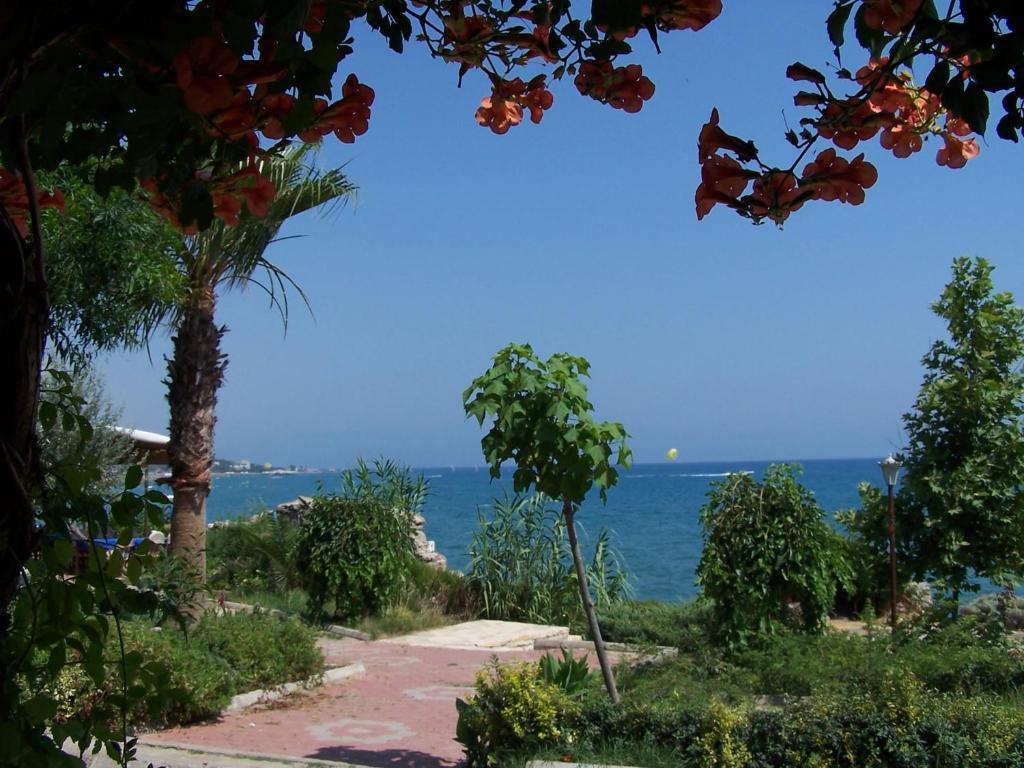 Guven Hotel Alanya Exteriör bild