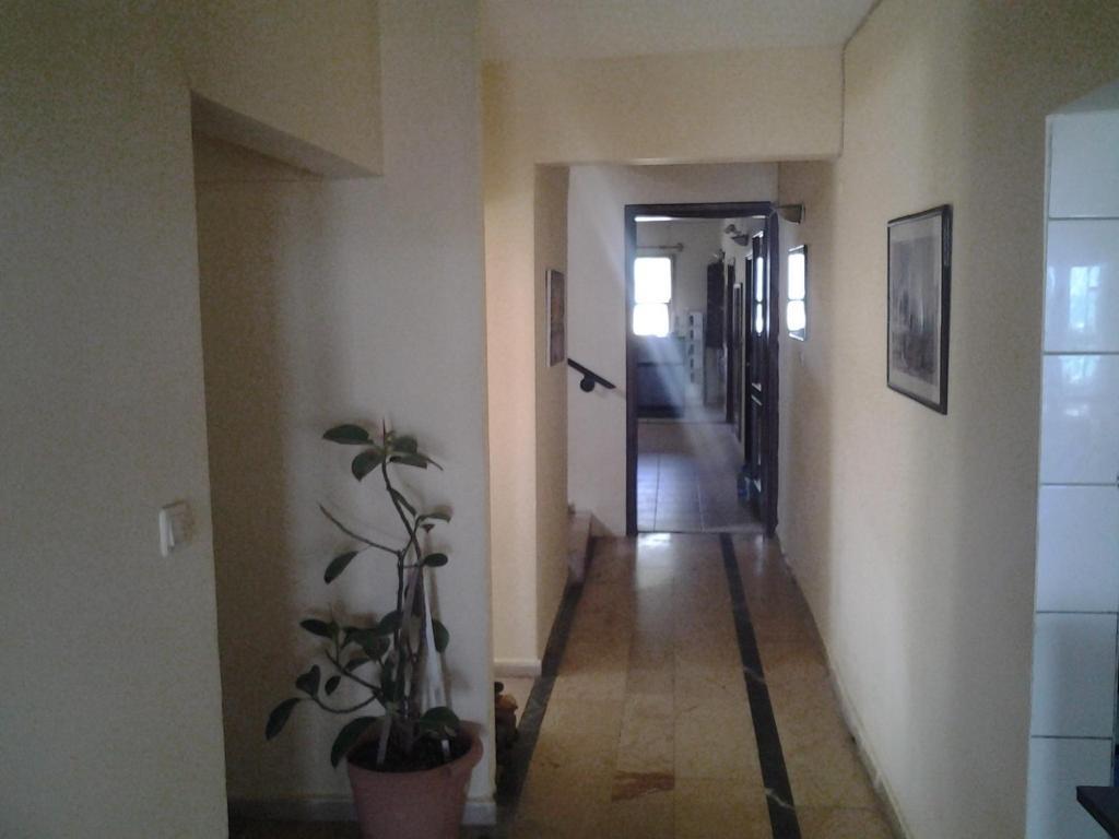Guven Hotel Alanya Exteriör bild